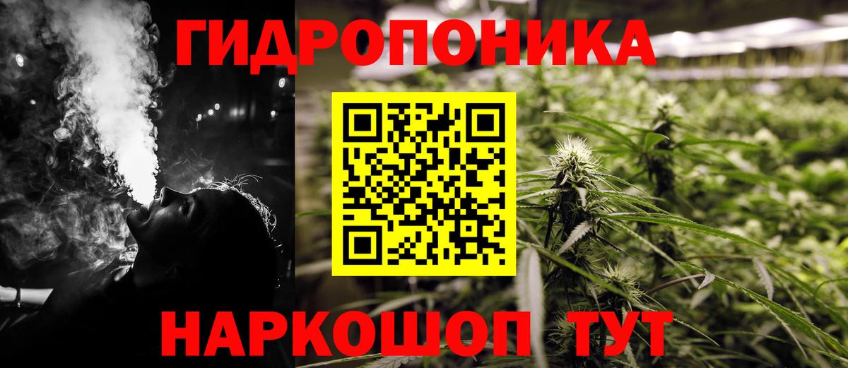 Бошки Шишки планчик  Бошки Шишки планчик  Бошки Шишки индика  Вход с VPN  Красный Сулин  Каннабис индика 